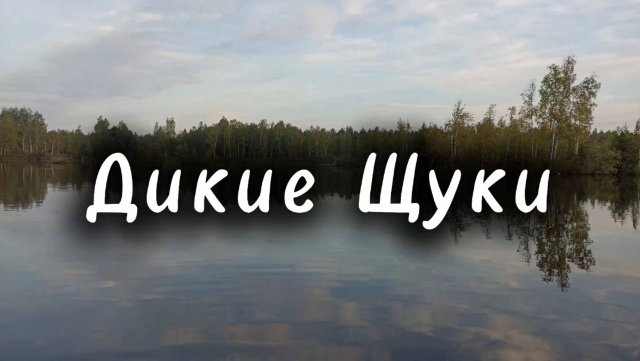 Ловля щуки. Закрыли летний сезон. Бешеный клев!