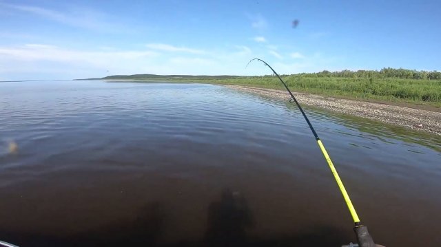 На Рыбалку поискать зубастых хищников.