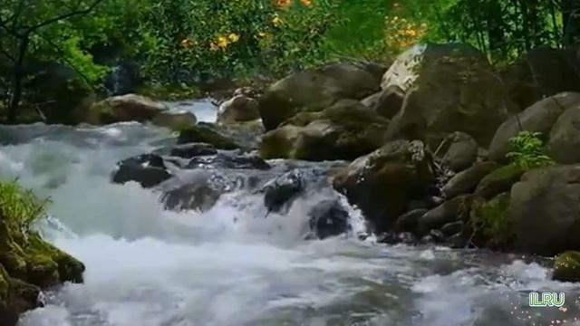 Аудио рассказы из жизни душевные истории. Час, прописанный свыше...