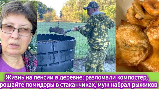 Жизнь в деревне: разломали компостер, прощайте помидоры в стаканчиках, муж принес рыжики,