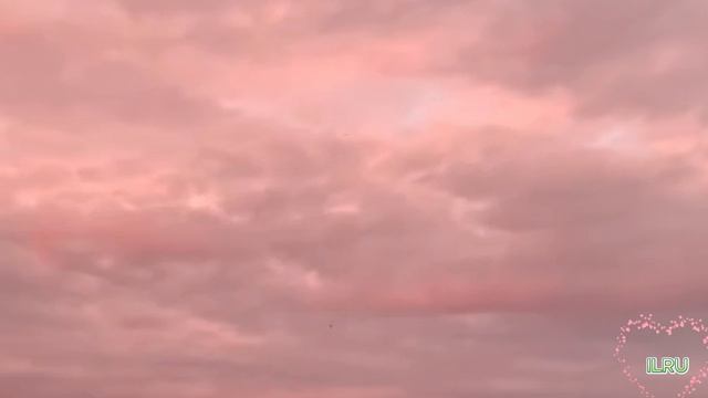 Интересные истории из жизни людей короткие. Свобода вне дома...
