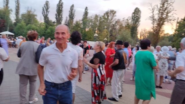 Белые ромашки...... 3.08.25.