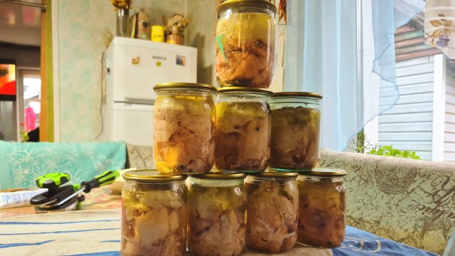 Деревенские Планы поменялись,но зато сделала,Купили Боровка на племя