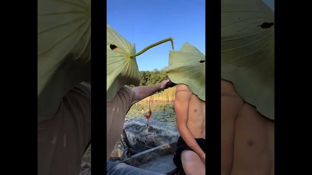 Нарезки с ТикТок #мемы #юмор