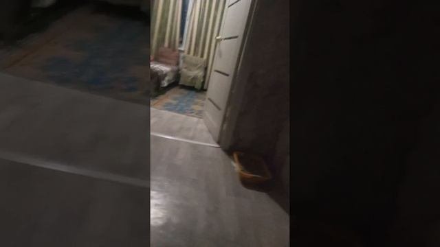 делают трюки