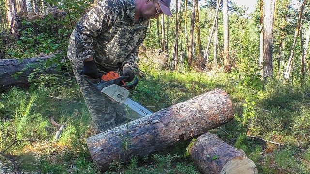 Новый солонец. Хозработы на двух избушках