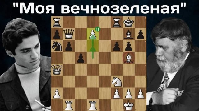 Блестящая партия 16-летнего Гарри Каспарова! Гарри Каспаров - Йозеф Пршибыл. Скара 1980. Шахматы