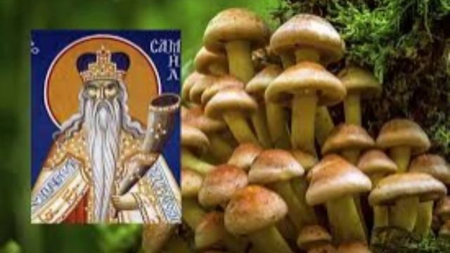 2 сентября - Самойлов день. Традиции и народные приметы