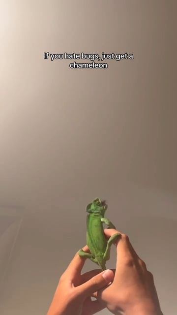 суууу