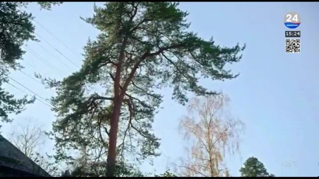 МАРИУПОЛЬ 24