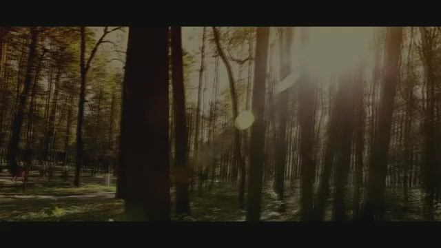 VTS_06_01