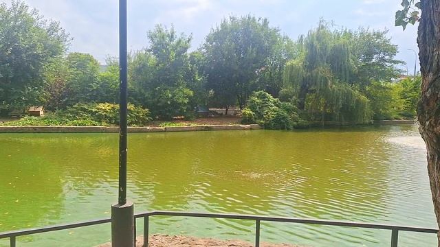 Городской сад в Краснодаре