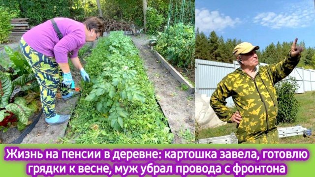 Жизнь на пенсии в деревне: Картошка зацвела, готовлю грядки к весне, муж убрал провода с фронтона