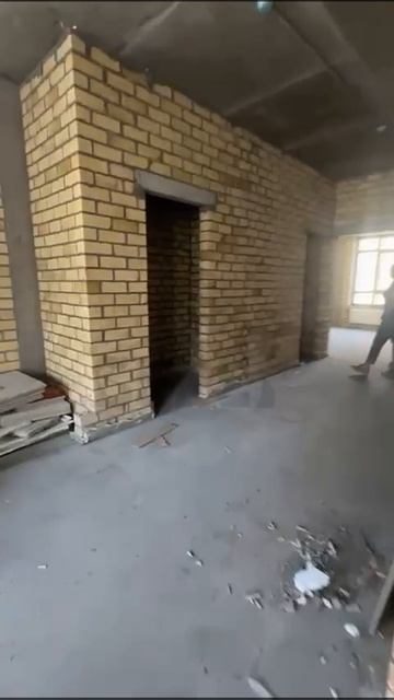 трио видео