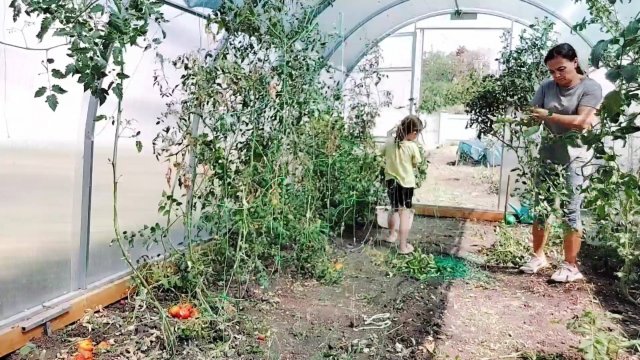 288 Жизнь на юге. Работаем на участке. Урожай гниёт, Сил нет, устала. Встреча с подругой.