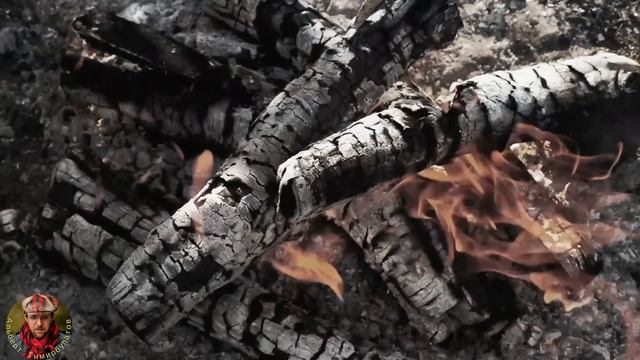 Жизнь-палитра