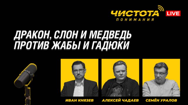Чистота понимания LIVE // Дракон, слон и медведь против жабы и гадюки