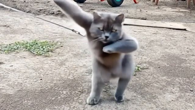 зажигательный танец