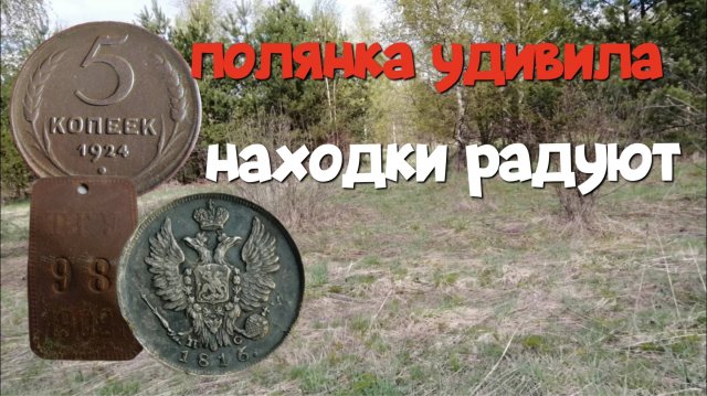 ПОЛЯНКА УДИВИЛА, НАХОДКИ РАДУЮТ. ПОИСК СТАРИНЫ С ЭКВИНОКС 800.