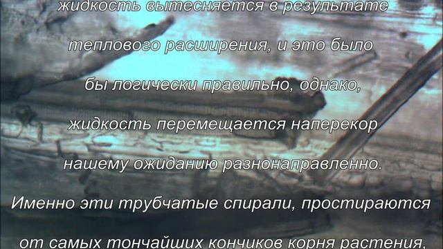 Путешествие в удивительный Мир живой природы 1-2 - Трубчатая спираль = идеальный проводник энергии.