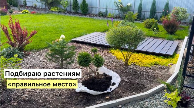 Сезон заканчивается, но НЕ расслабляемся! Сажаем и пересаживаем то, что откладывали всё лето!