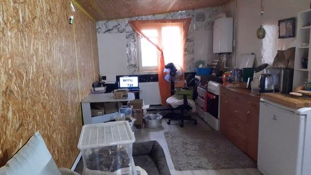 Быстрая пицца, Жизнь в Деревне, рабочие моменты .