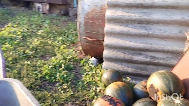 1 сентября 2025 продолжение/как живут в русской деревне