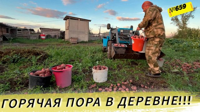 Пытаемся копать картошку. Дожди мешают. Помогаем тестю. Жизнь и будни в Омской деревне.