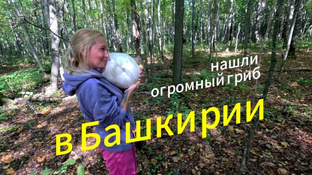 По Башкирии. Едем за грибами
