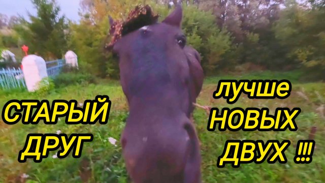 КУПИЛИ ДОМ В ДЕРЕВНЕ | Старый друг лучше новых двух | Дом в деревне | Семья в селе