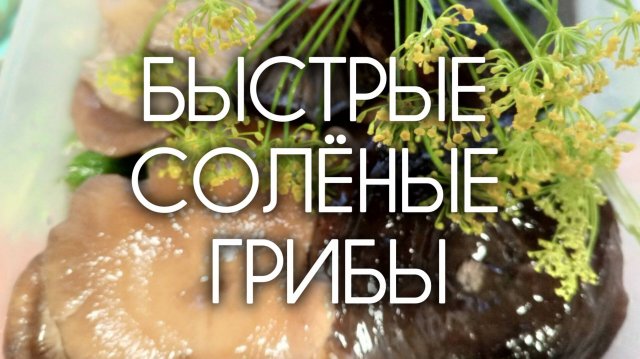 СОЛЕНЫЕ ГРИБЫ 🍄 Быстрый способ засолки грибов. Рецепт без заморочек