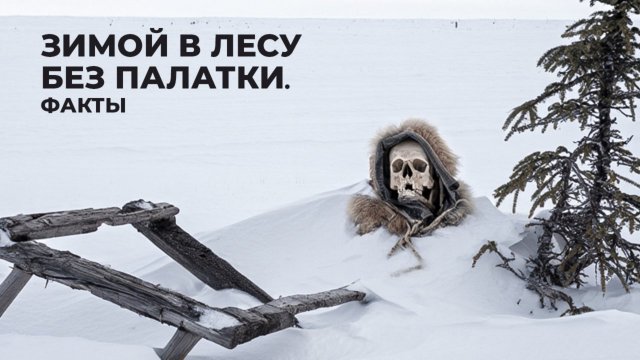 Ночевал в лесу зимой без палатки — что случилось дальше. Реальные истории выживших | Факты