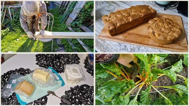 ПЕКУ ШАРЛОТКУ верх, КАК МЕРЕНГА рецепт. Дегустируем продукты подворья. Огород.