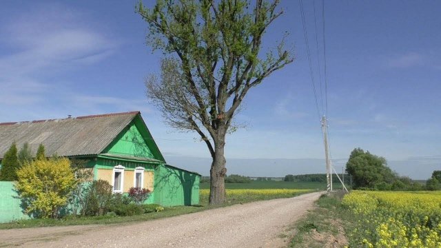 ИЗ ДЕРЕВНИ В ДЕРЕВНЮ! ГРИБНАЯ ФИЕРИЯ! КАБАНЬЯ ТРОПА!