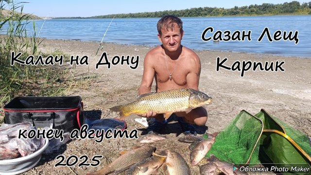 Удачная рыбалка. Сазан, лещ, карп. Калач на Дону. Конец августа 2025 года