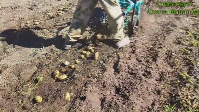 Уборка картошки и Мотоблок - Трудяжка.