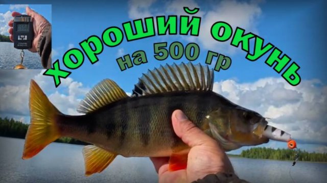 Поехал за щукой а ловились окуни