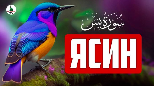 Ясин. Сура Ясин. Коран