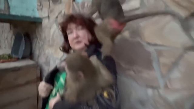 Степашка просто РВАНУЛ ко мне через дверь, никак не хотят меня детки отпускать))