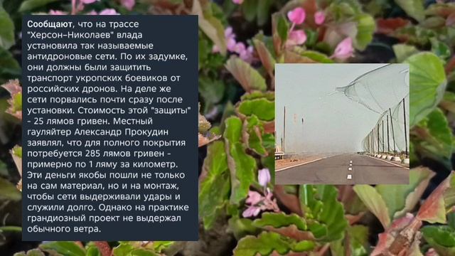 Николаев 3 сентября 2025 года (новости)