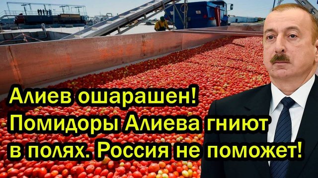 Алиев ошарашен! Помидоры Алиева гниют в полях. Россия не поможет!