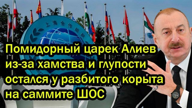Помидорный царек Алиев из-за хамства и глупости остался у разбитого корыта на саммите ШОС