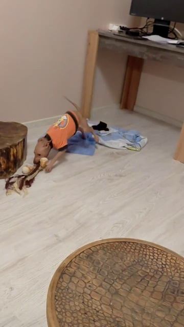 1000011778.mp4