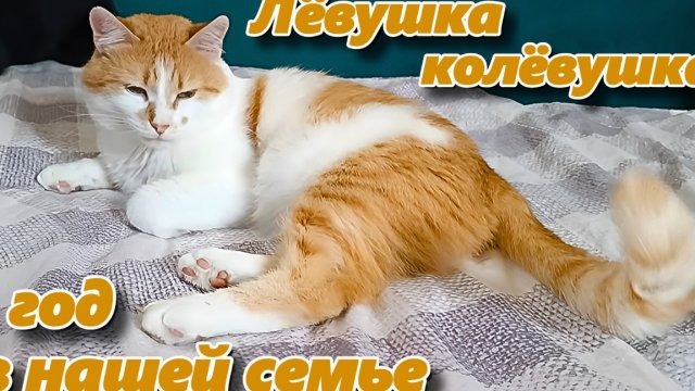 Лëвушка колëвушка год в нашей семье.