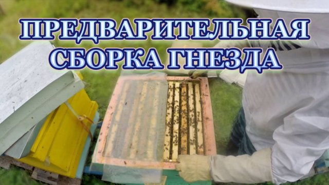 29 августа 25 года, предварительная сборка гнезда.