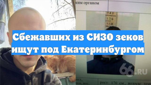 Сбежавших из СИЗО зеков ищут под Екатеринбургом