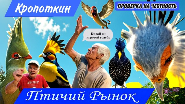 Птичий рынок Кропоткин! Покупаем, проверяем, голубей на рынке.Голубеводы, играют лучше чем #голуби