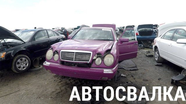 Самая большая свалка машин в мире! Спустя пол года! Новые тачки! Порошок!