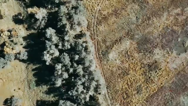 Отлов вражеских БпЛА сетями