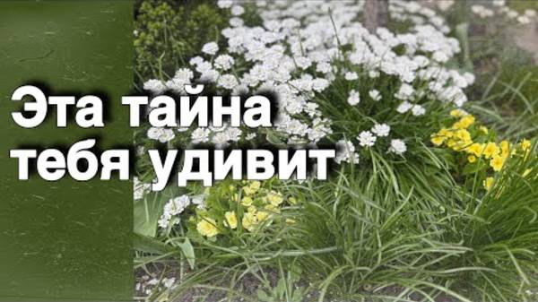 ❗️Ты даже не Предполагаешь что Всплывет на поверхность и Откроется...🌷♣️ расклад таро ✤ знаки судьб